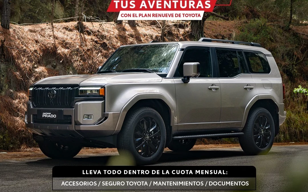 toyota prado gris 3