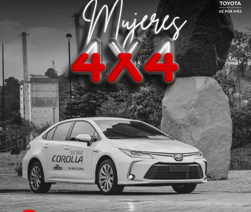 VEHÍCULOS HÍBRIDOS VS. TRADICIONALES: LA APUESTA DE TOYOTA POR EL EQUILIBRIO