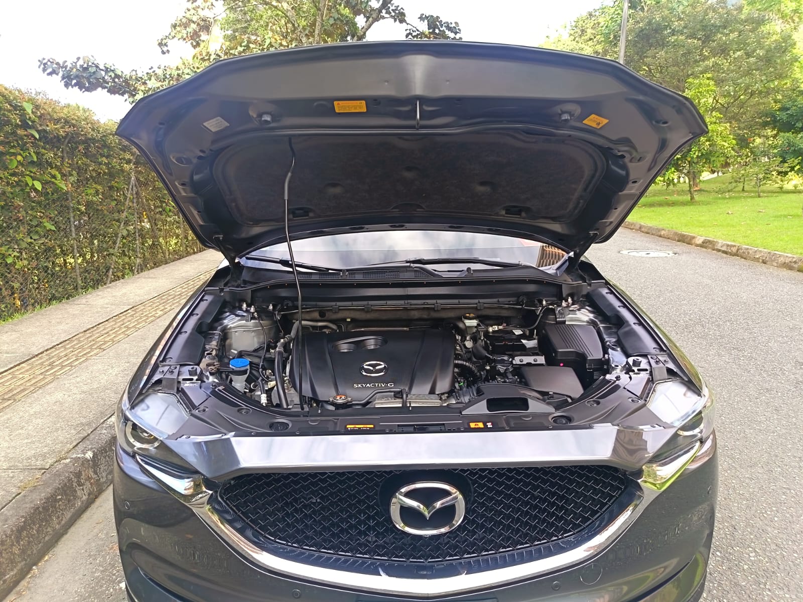 Imagen de WhatsApp 2025-10-27 a las 15.11.55_cd64fcf9