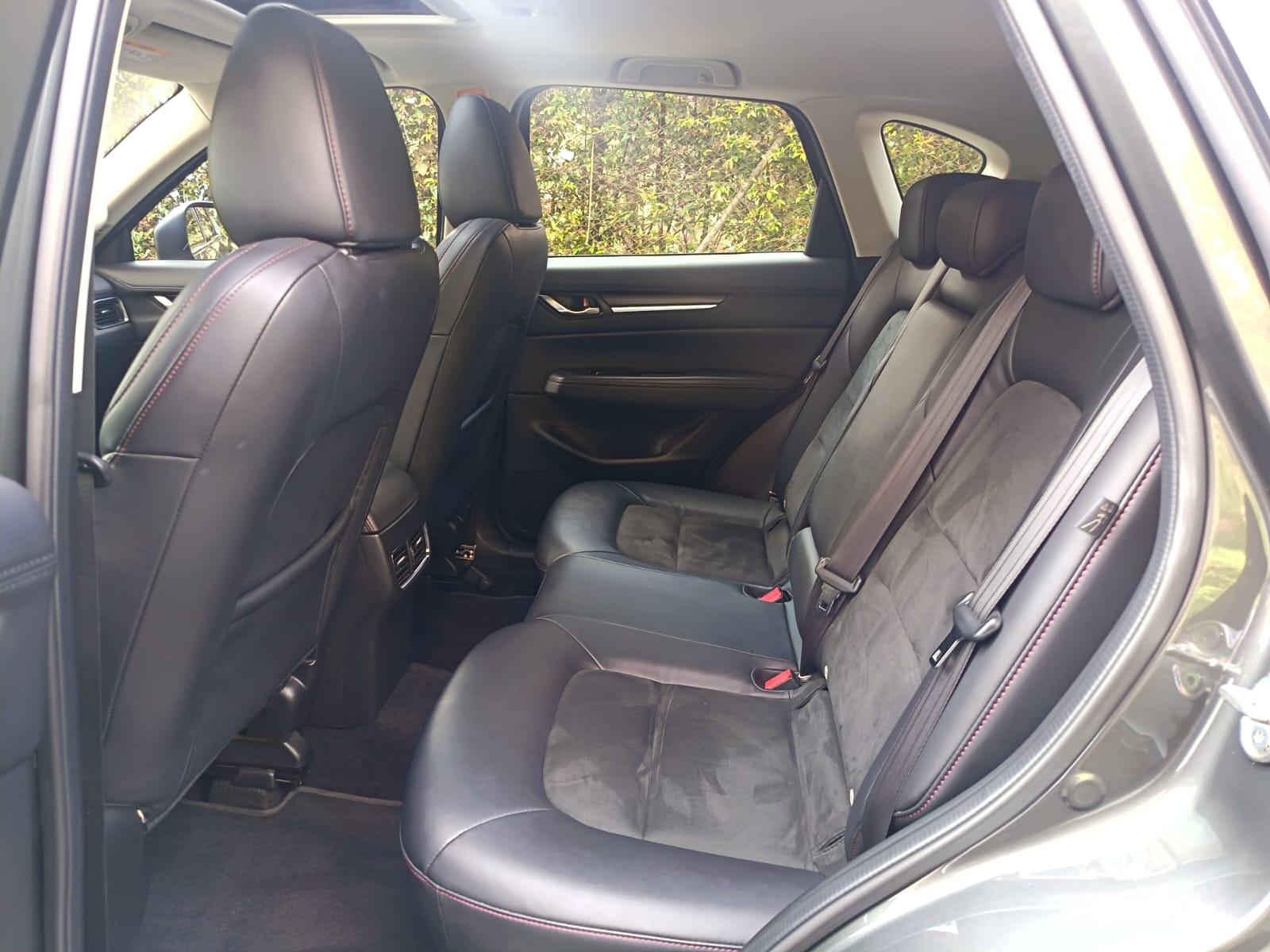 Imagen de WhatsApp 2025-10-27 a las 15.11.57_3ea7ed97