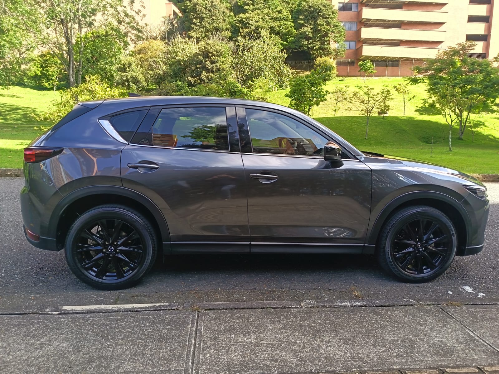 Imagen de WhatsApp 2025-10-27 a las 15.11.59_61670d3f