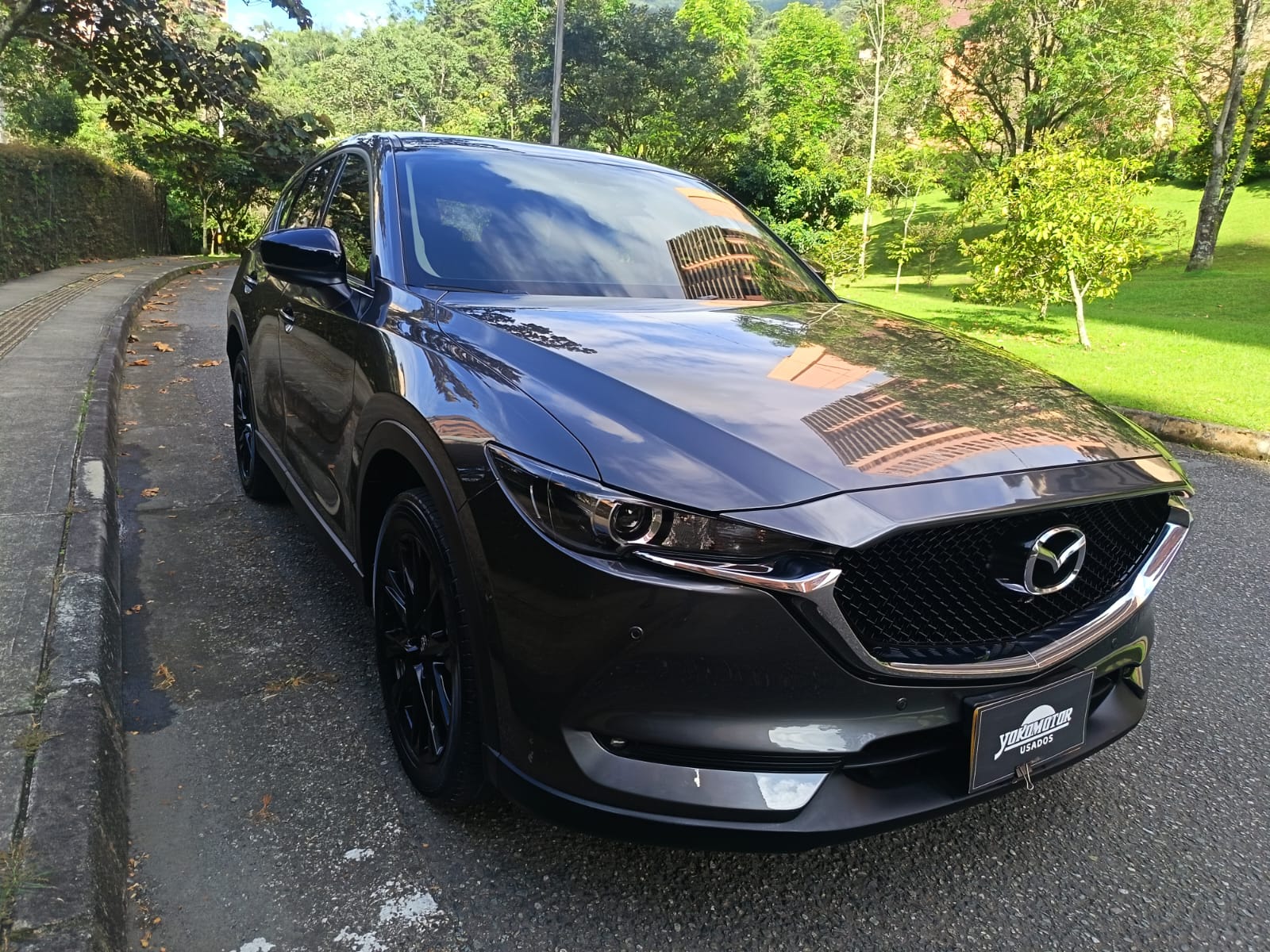 Imagen de WhatsApp 2025-10-27 a las 15.12.00_1f3a84b3