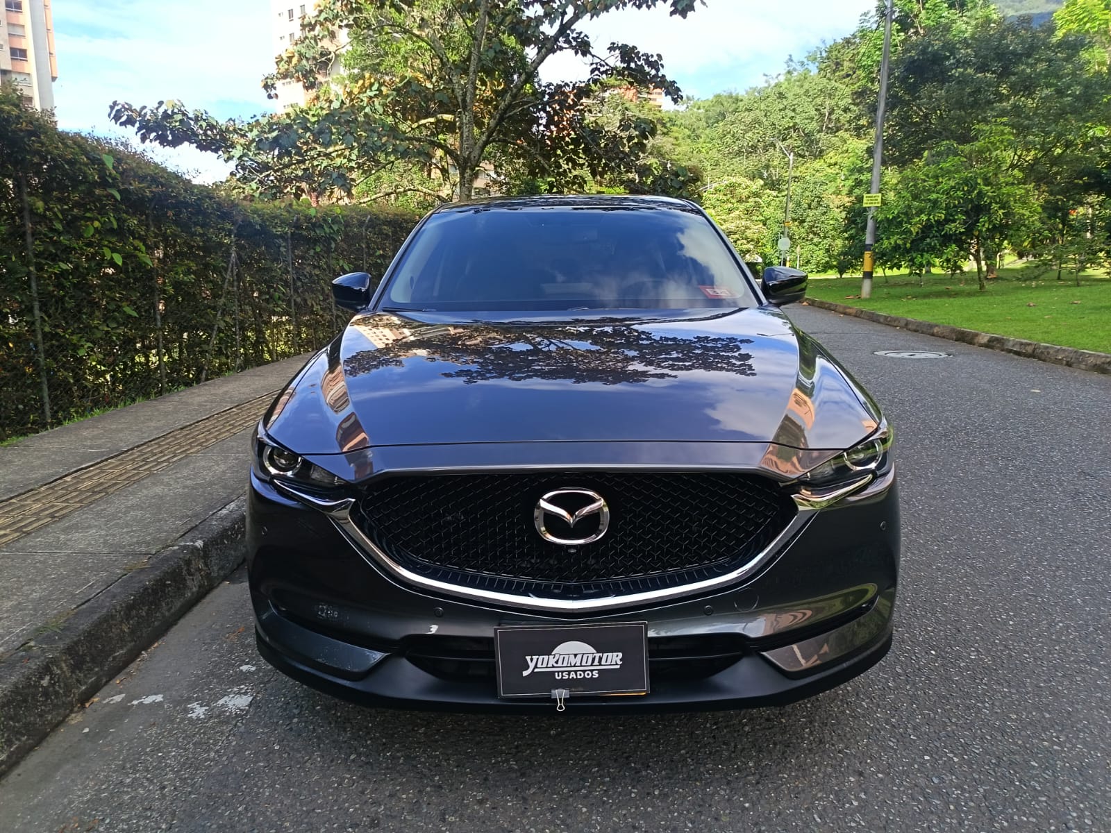 Imagen de WhatsApp 2025-10-27 a las 15.12.01_57e8430a