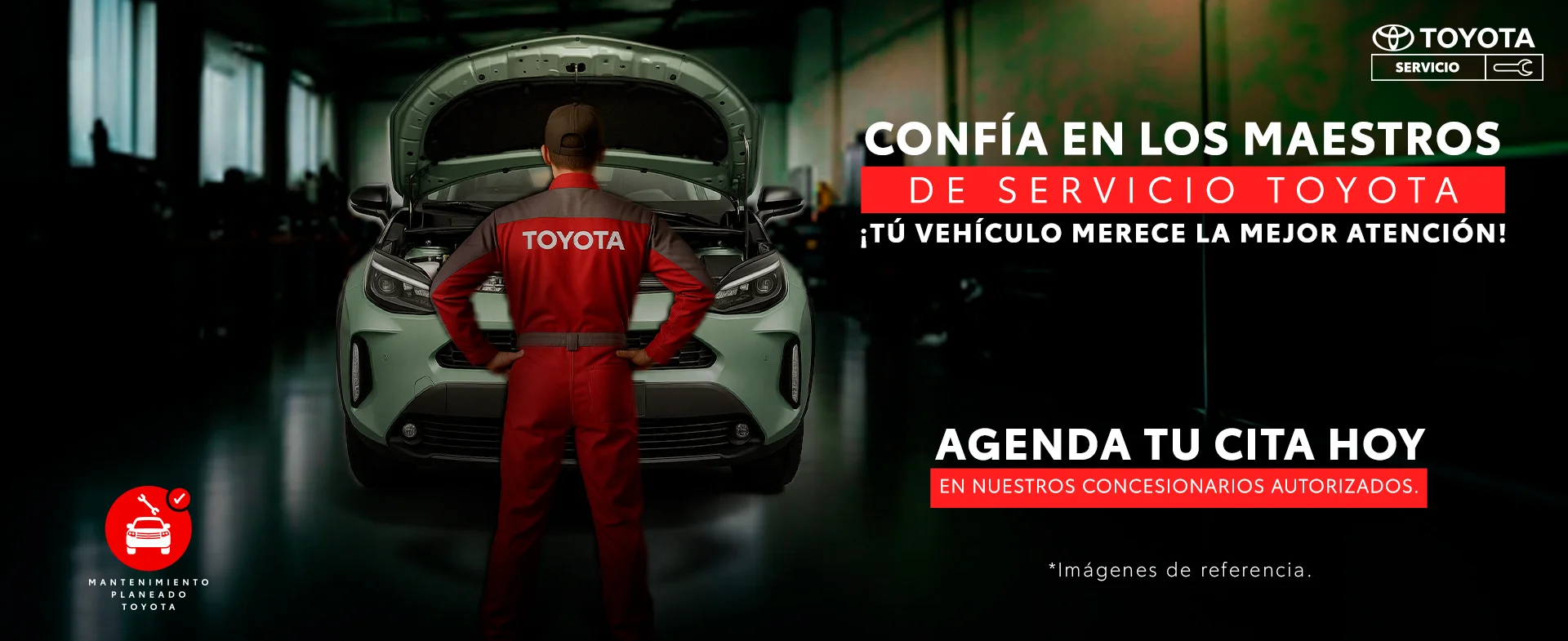 Toyota 5 años